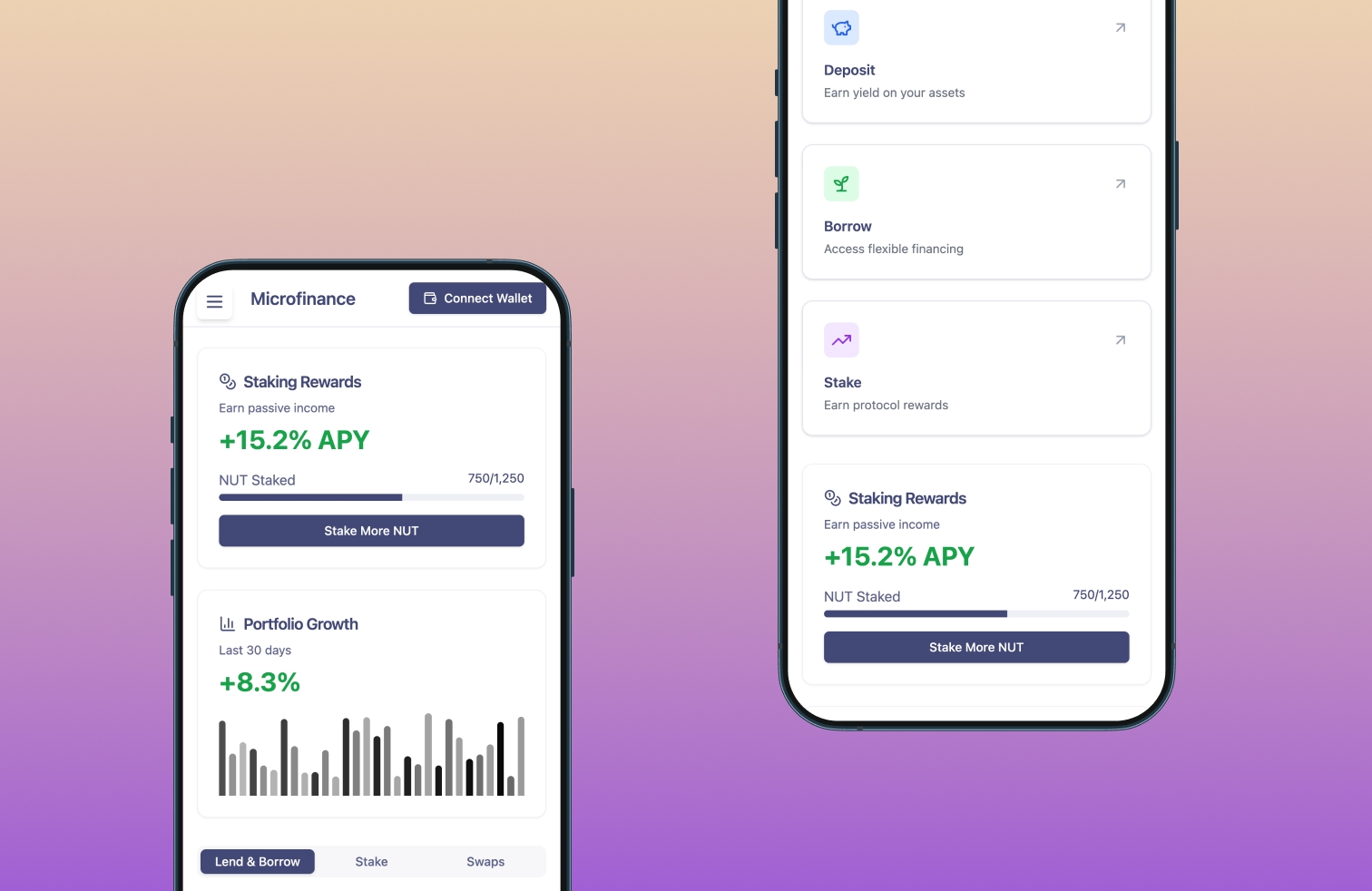 Your Microfinancing Tools